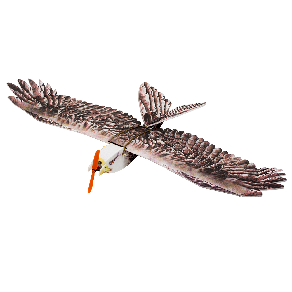 DW هوبي إيجل II EPP طائرة طائر - مراجعة Model Kit Motor وسعره